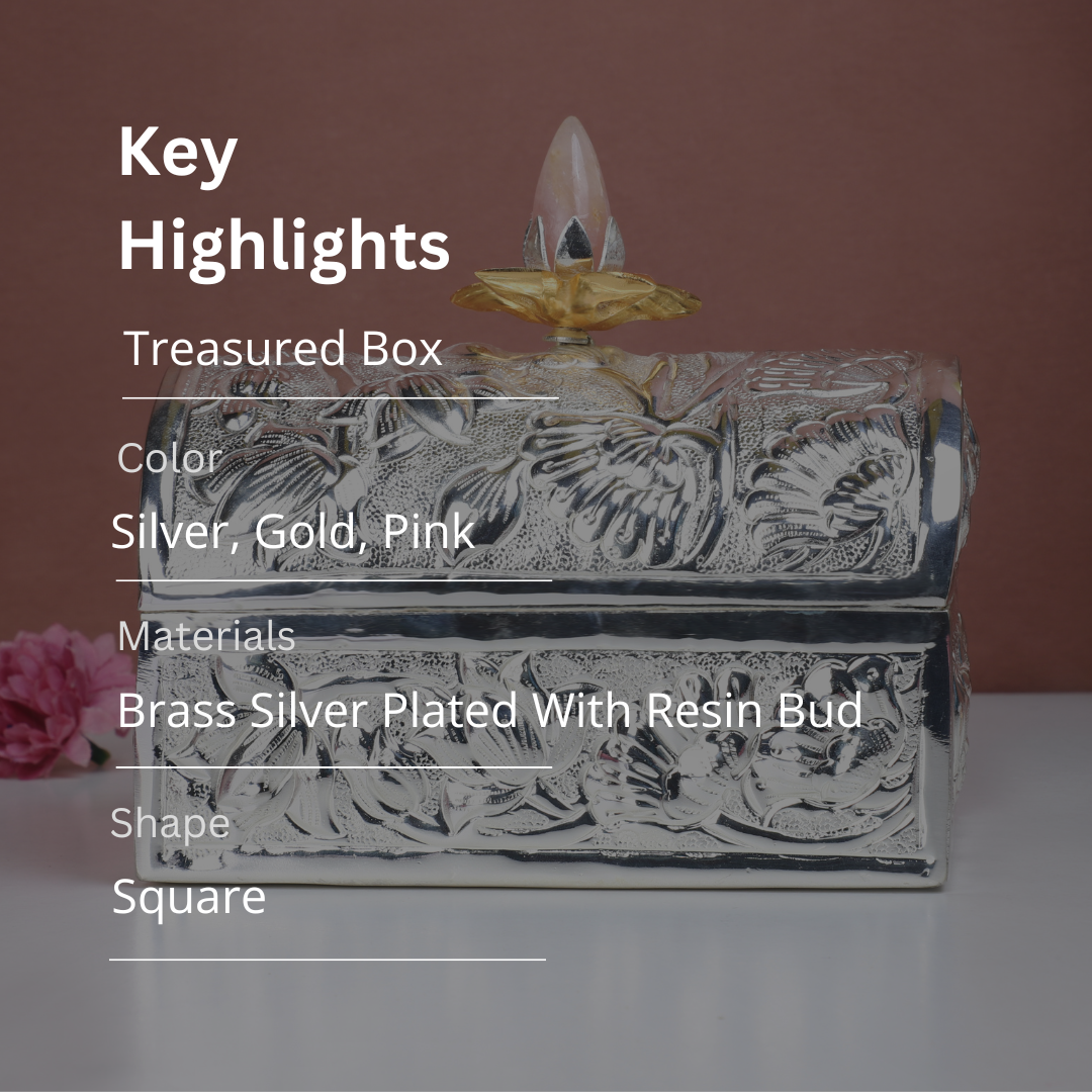 Brass Silver Plated Treasured Box