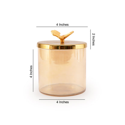 Glass Jar With Metal Butterfly Lid  - Large